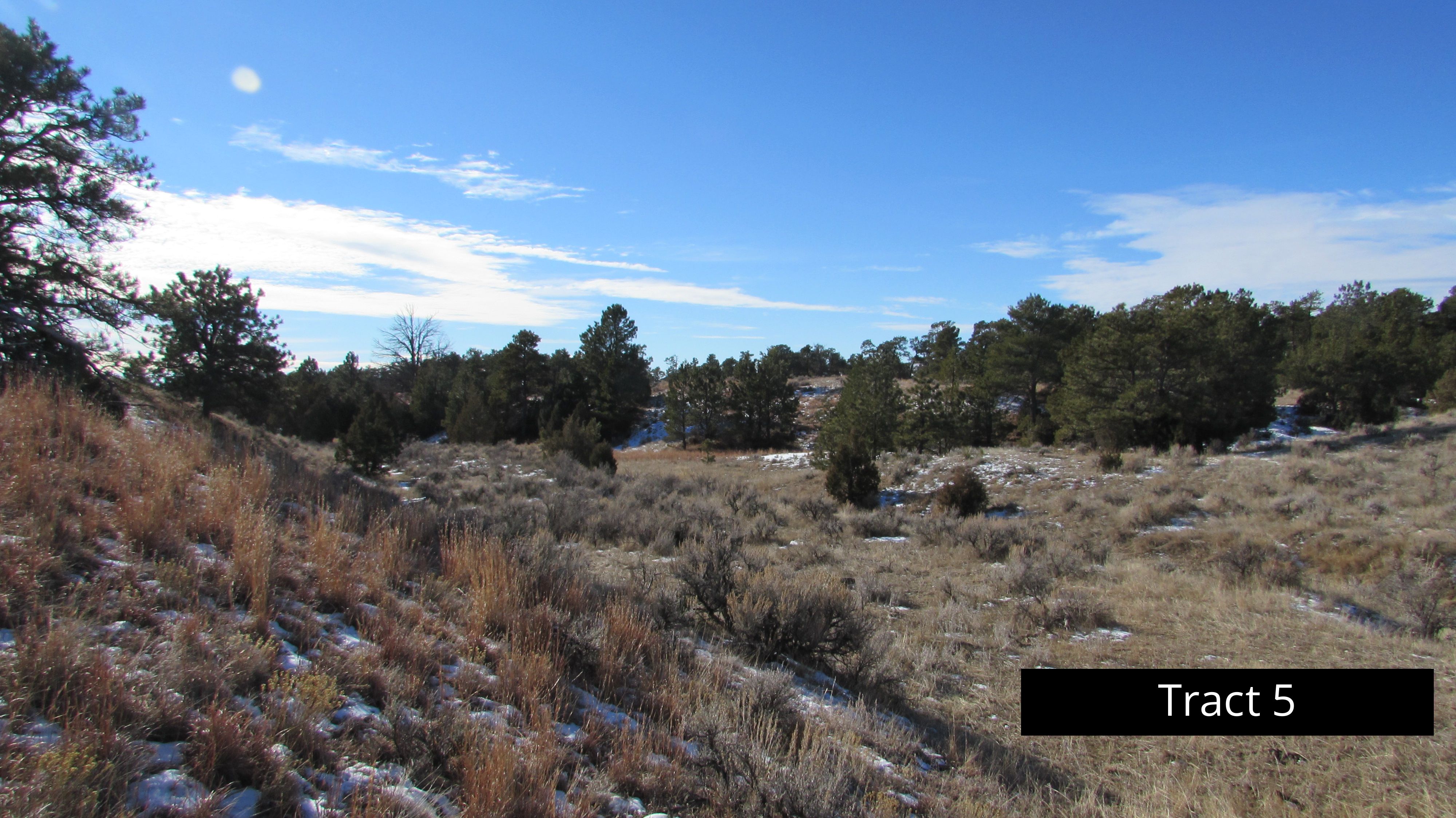 35.07 acres in Newcastle, WY, 82701 MLS Tract 5 Wildwood Acres