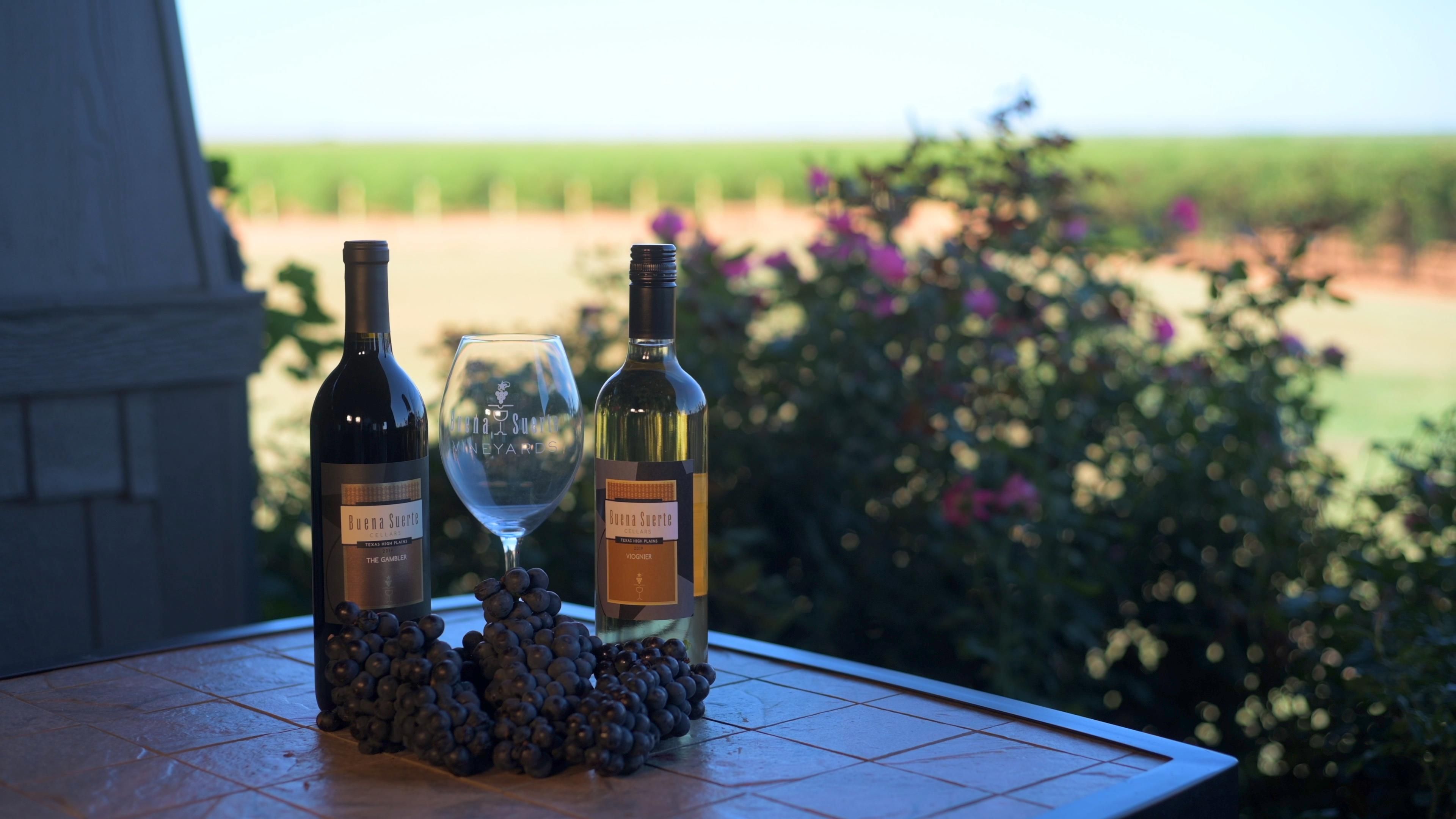 796 County Rd 240, Meadow, TX 79345 Land and Farm