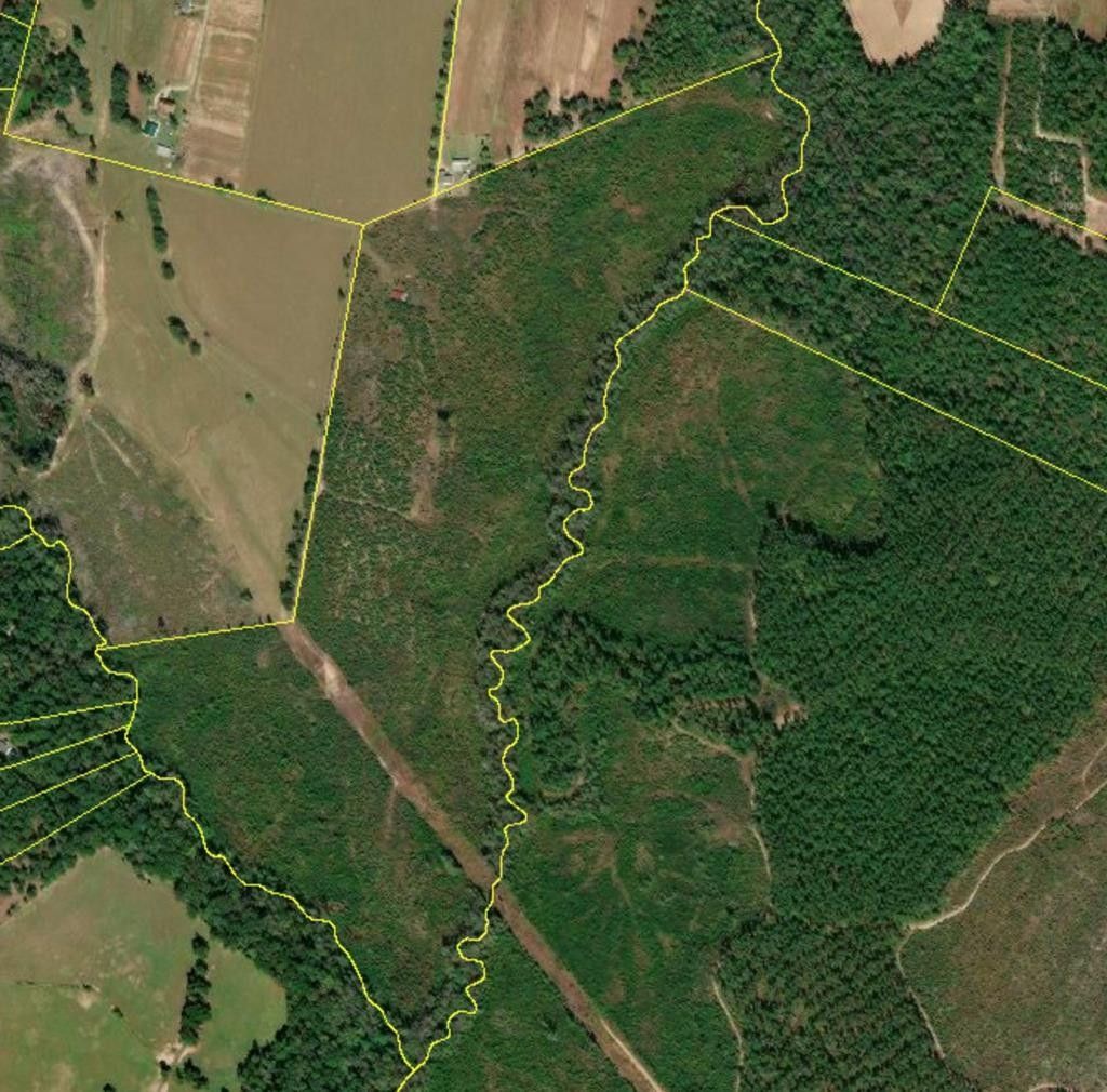 113 Acres, 247 Mossy Tree Lane, Aiken, SC 29803 Land and Farm