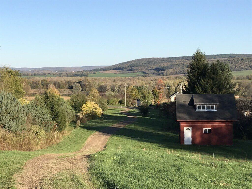 7.92 Acres, 1431 Ridge Road, Fabius, NY 13063 Land and Farm