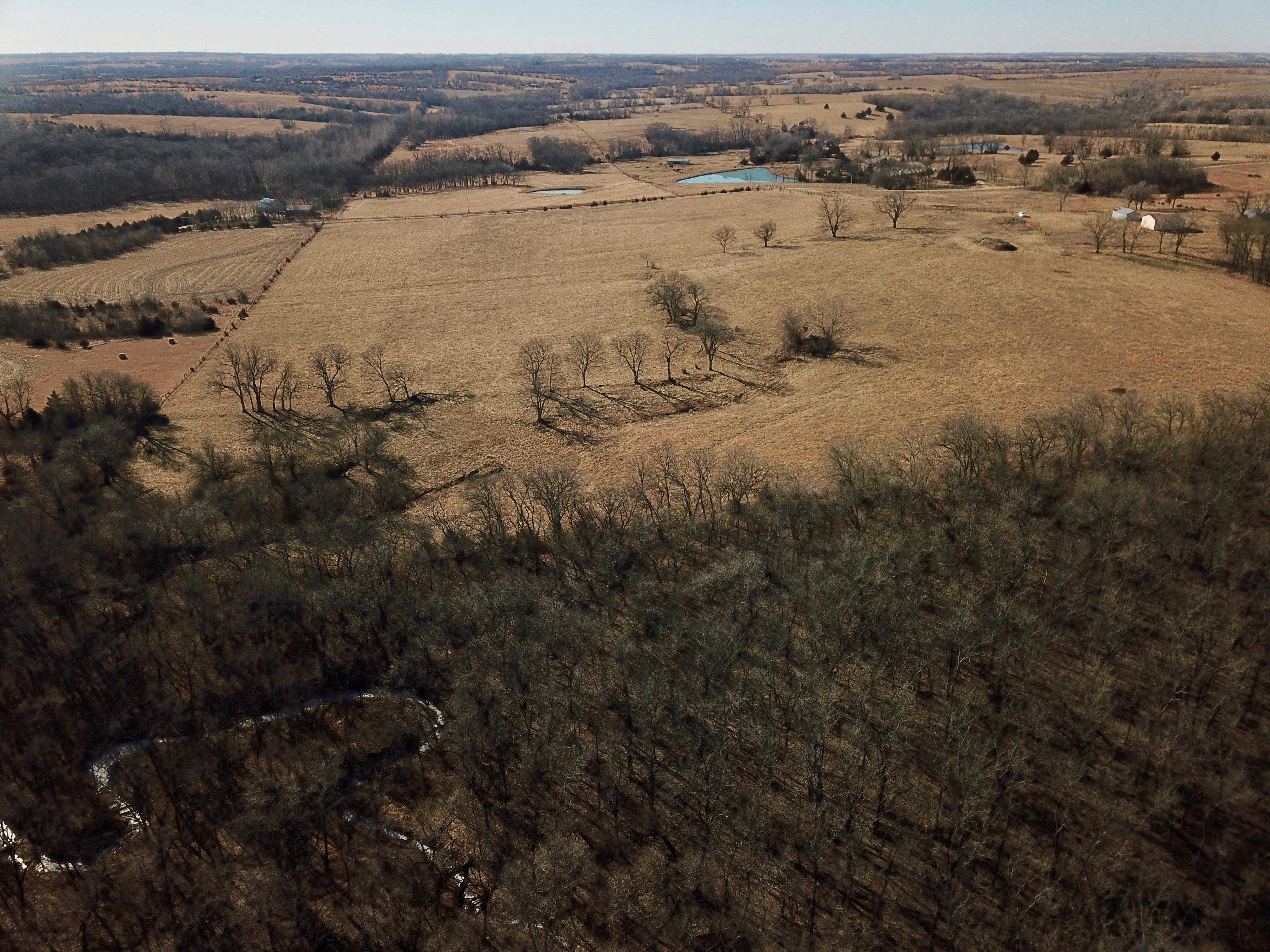 81 Acres, 00000 126th ST, Winchester, KS 66097 Land and Farm