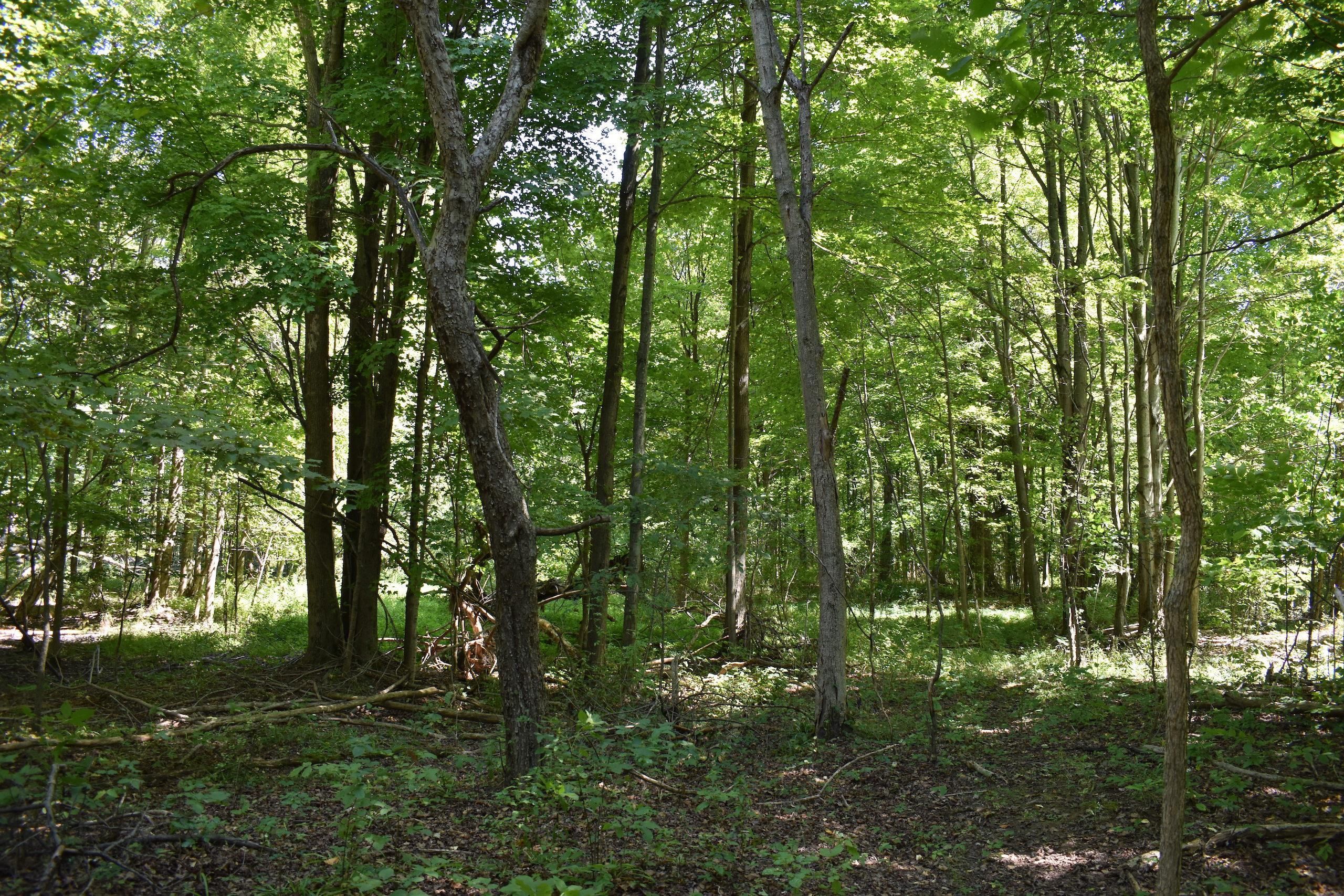 180 Acres, Hall Road, LOTWP001, Andover, OH 44003 Land and Farm