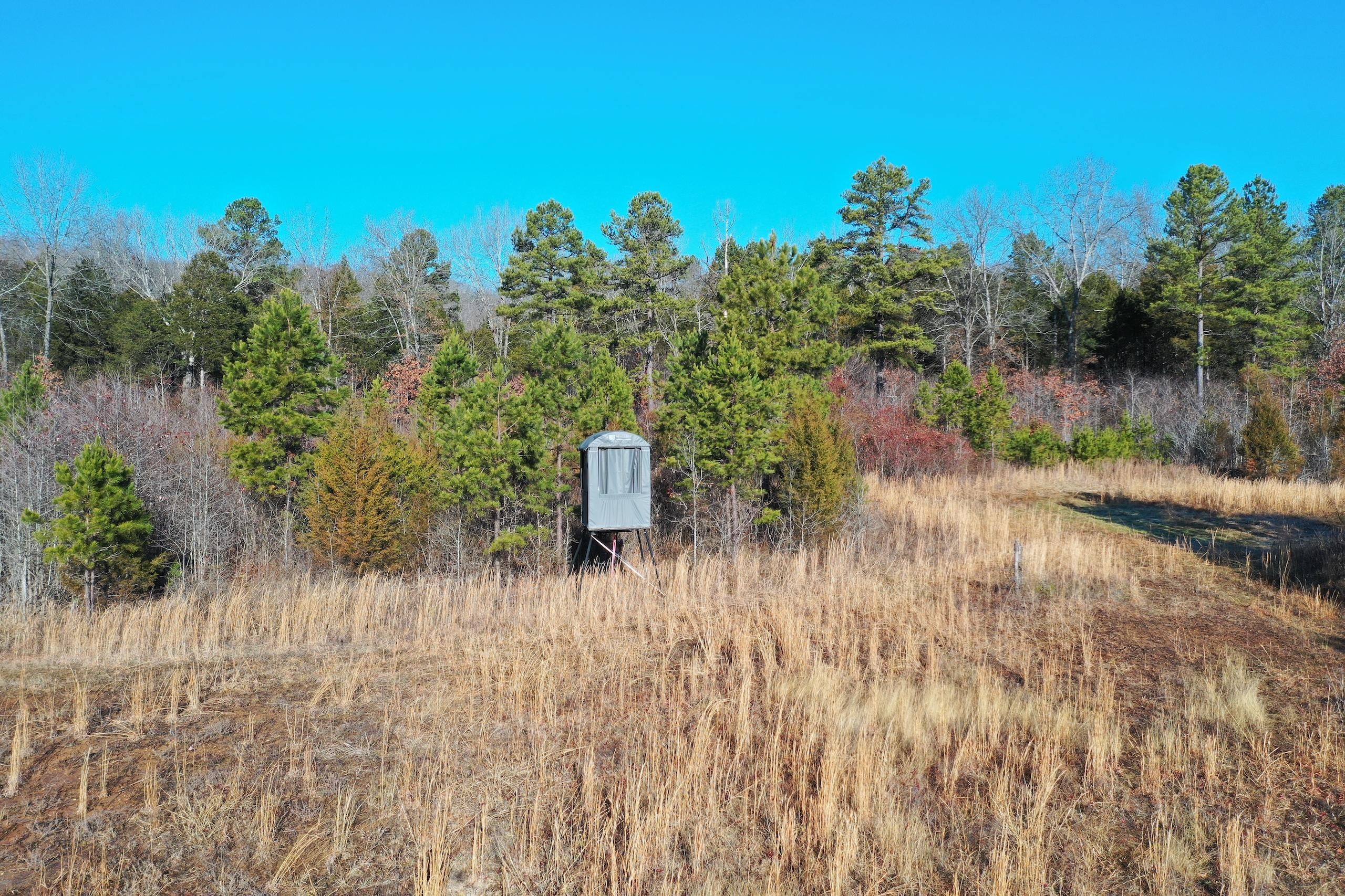 Wayne Co 211, LotWP001, Lodi, MO 63964 Land and Farm