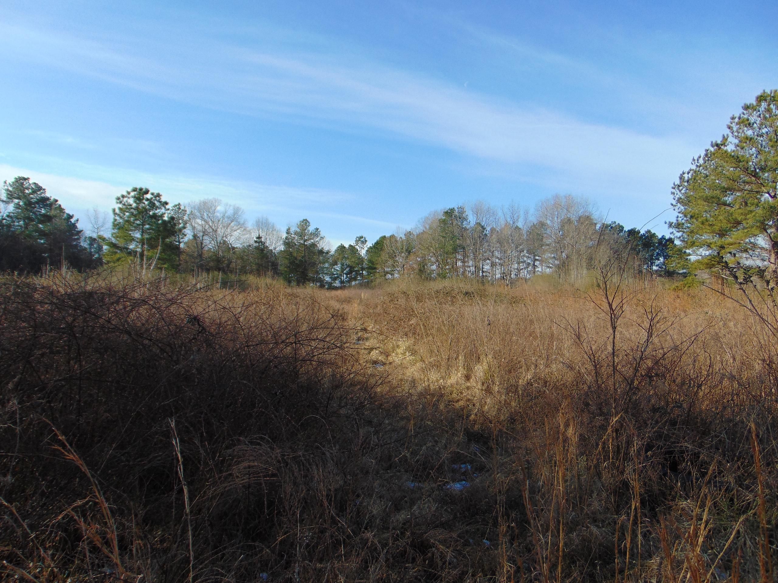 1033 Garrett Road, Lot WP0001, Henderson, NC 27537 Land and Farm