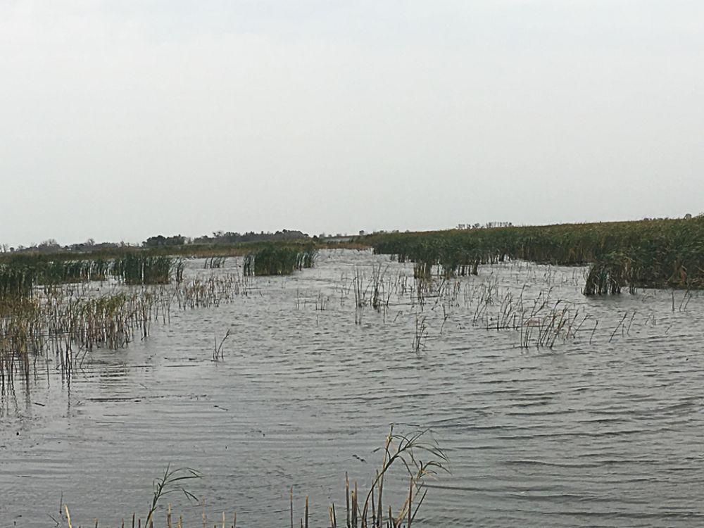 80 Acres, Wagner, SD Land and Farm