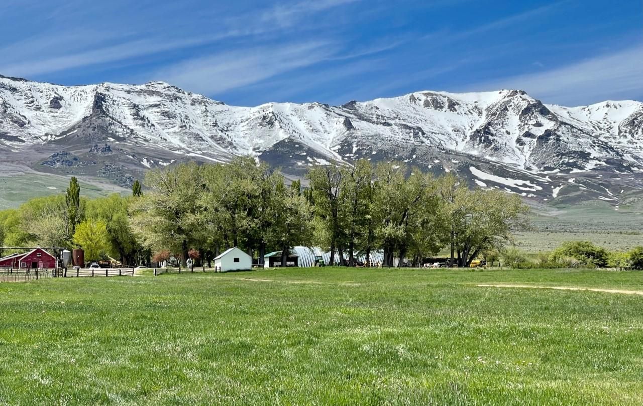 Wells NV, Wells, NV 89835 Land and Farm