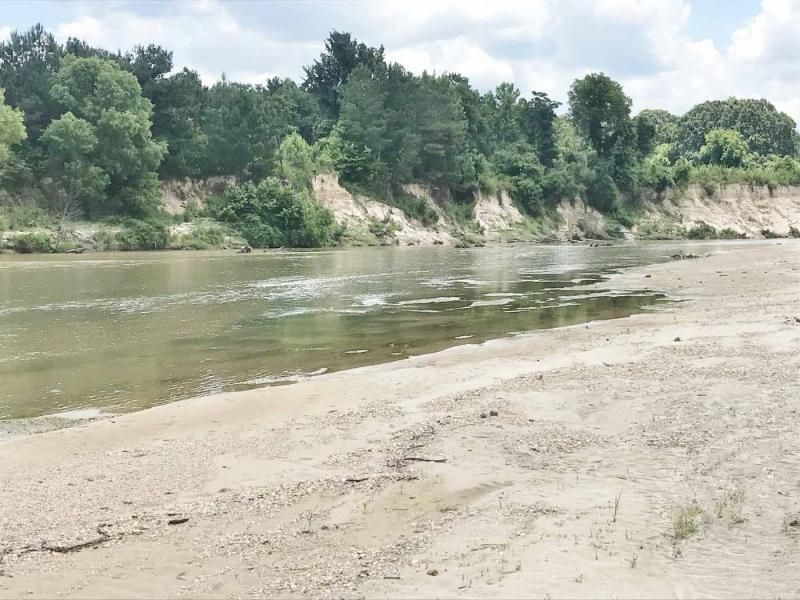 Caston Road/ Rand Road, Meadville, MS 39653 Land and Farm