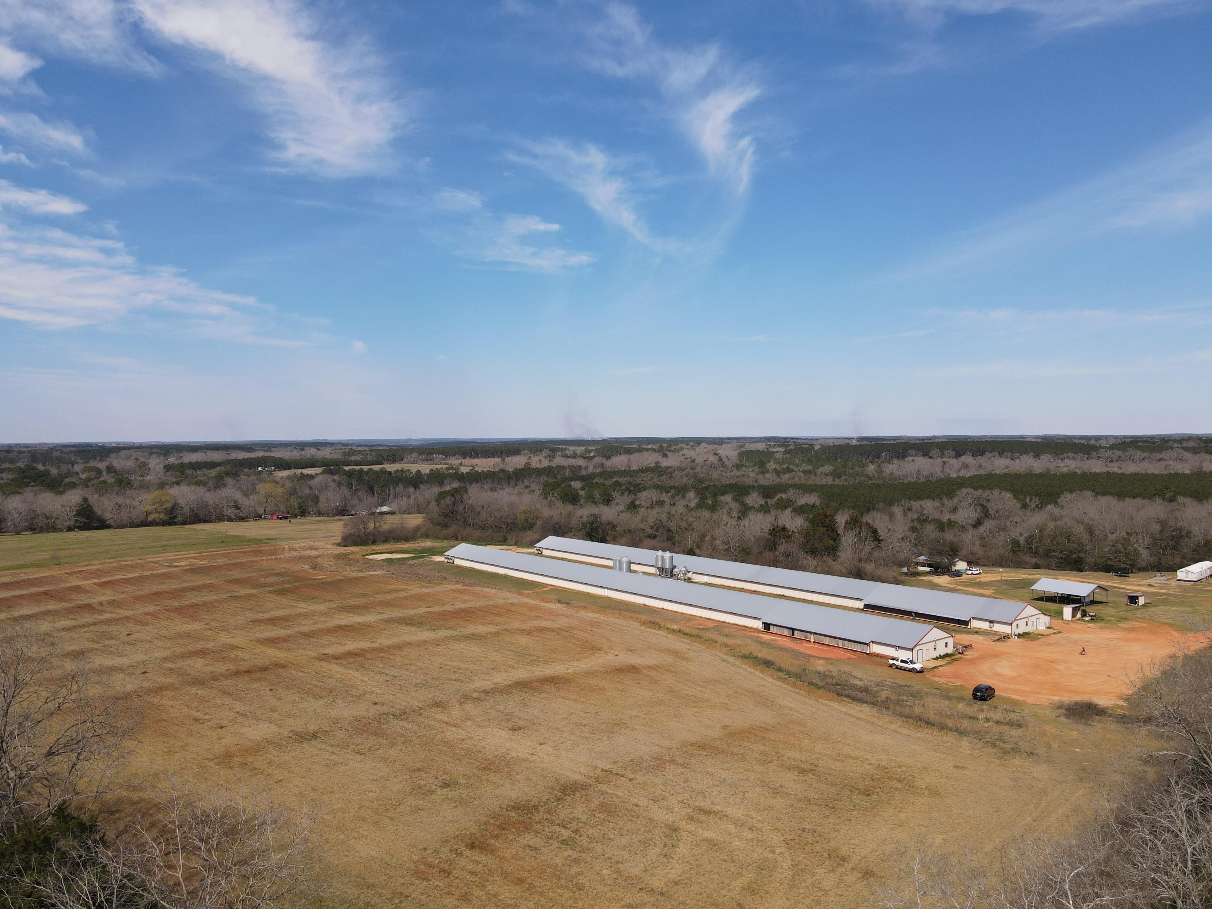 31 Acres, 12600 Alabama 134, New Brockton, AL 36351 Land and Farm