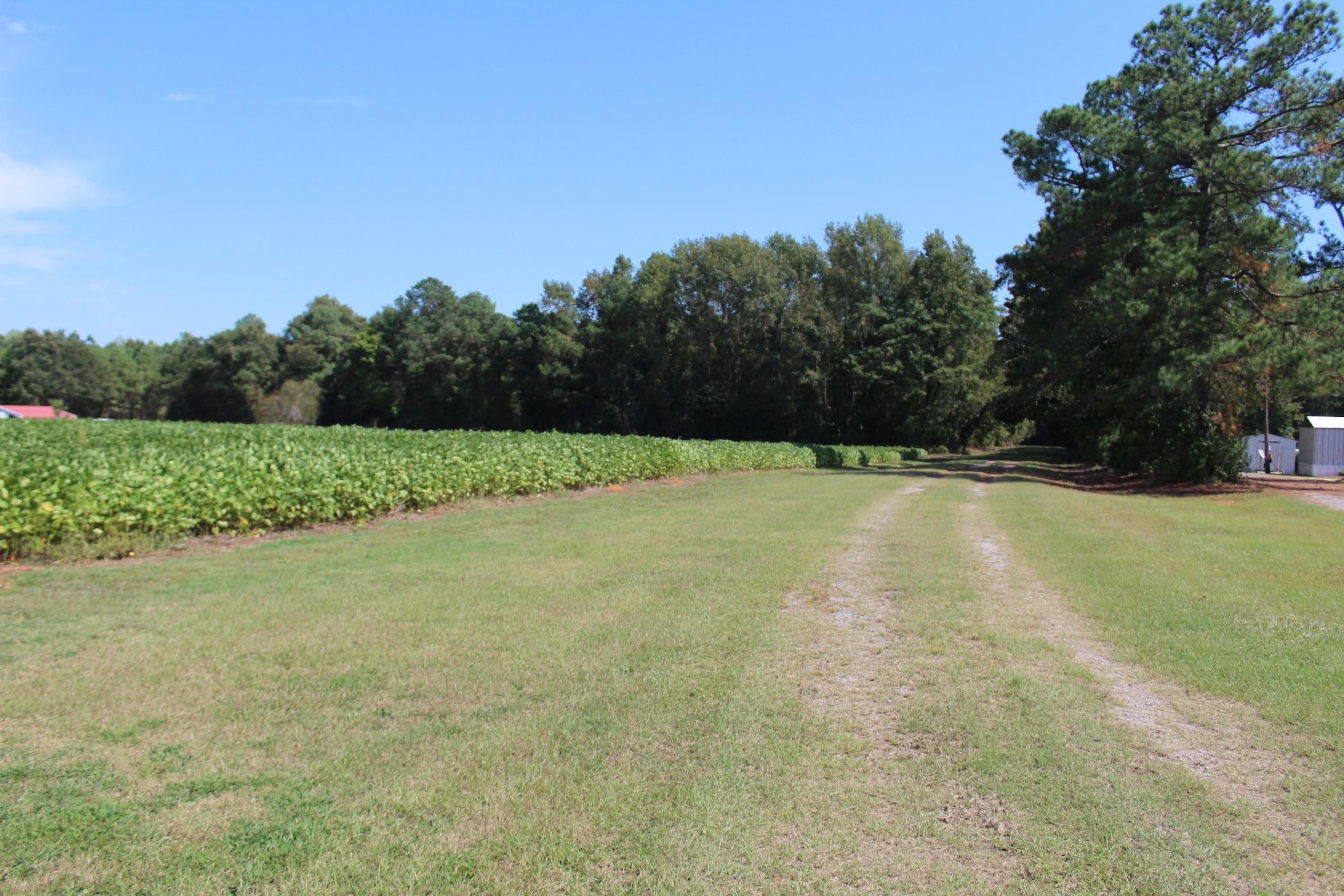 Off Barnes Hill Church Road, Lot WP0001, Nashville, NC 27856 Land