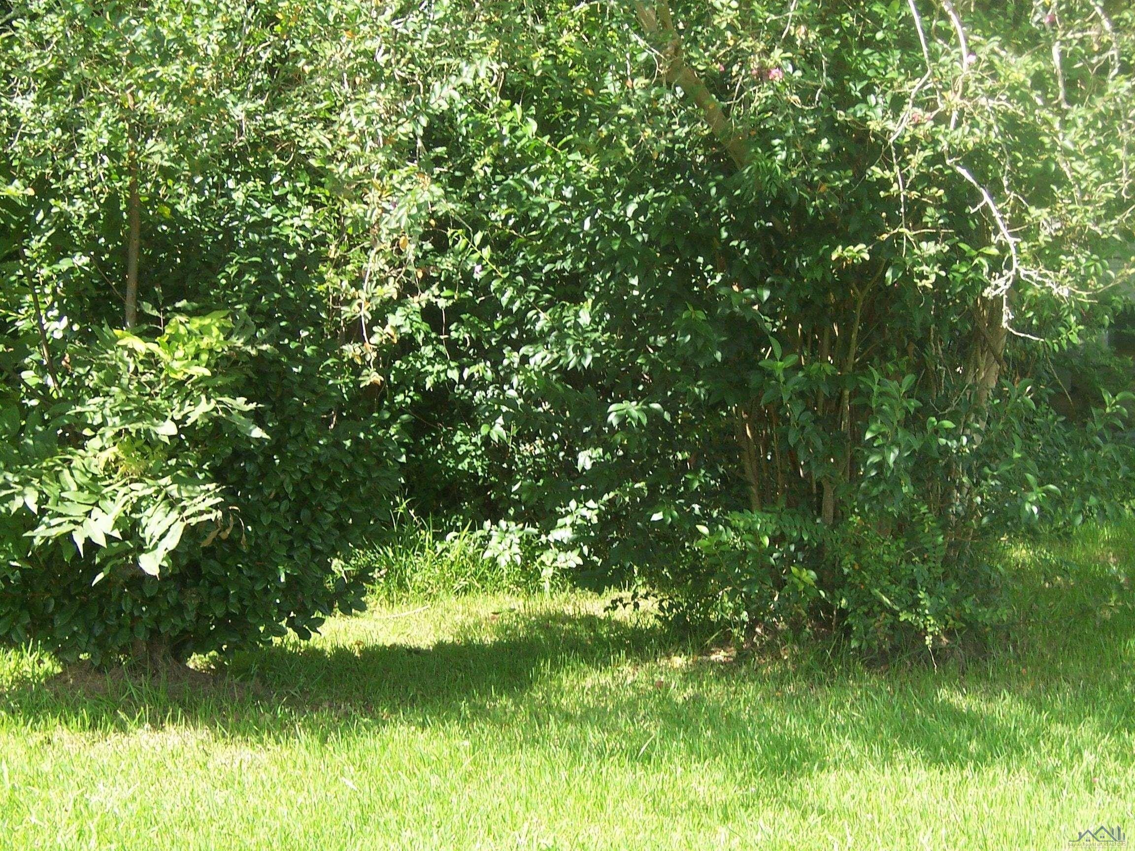 19 Acres, 5357 Highway 1, Raceland, LA 70394 Land and Farm