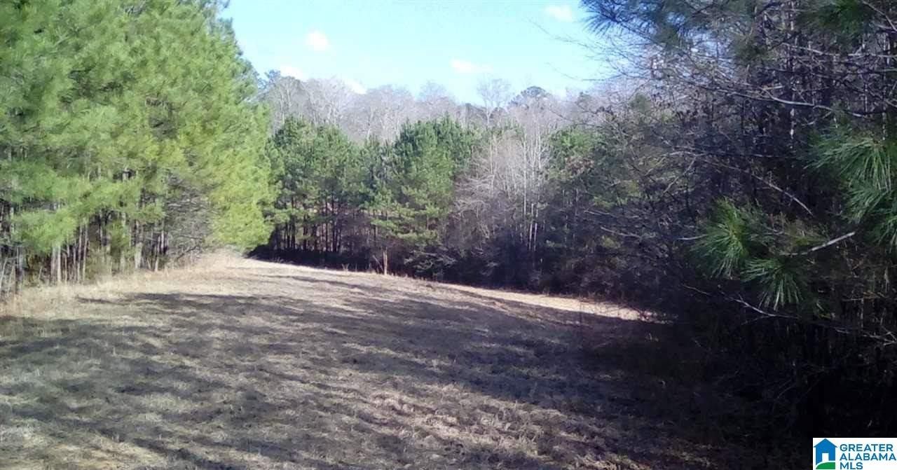 40 Acres, 0 CLEMENTS ROAD, Cottondale, AL 35453 Land and Farm