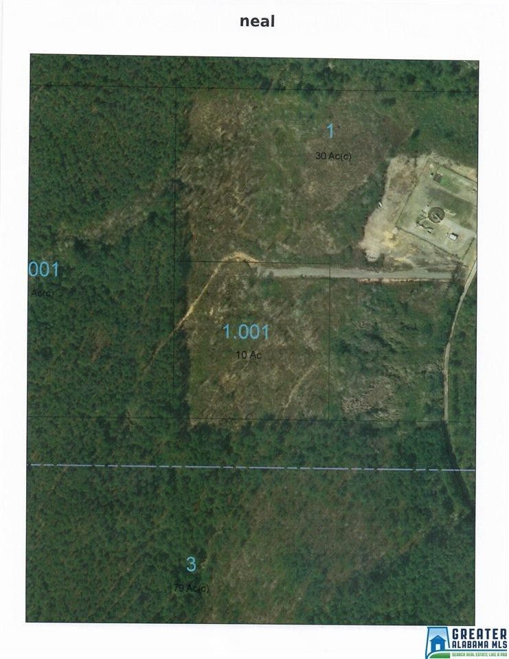 10 Acres, 0 COUNTY ROAD 21, West Blocton, AL 35184 Land and Farm