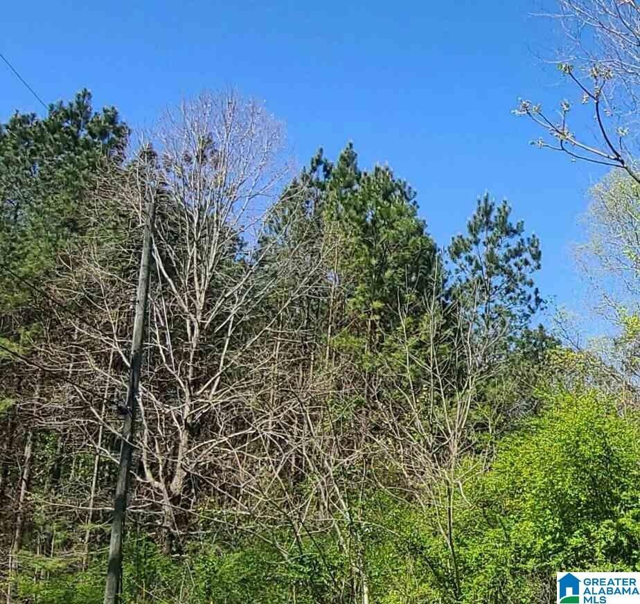 80 Acres, 870 KENNEDY ROAD, Gardendale, AL 35071 Land and Farm