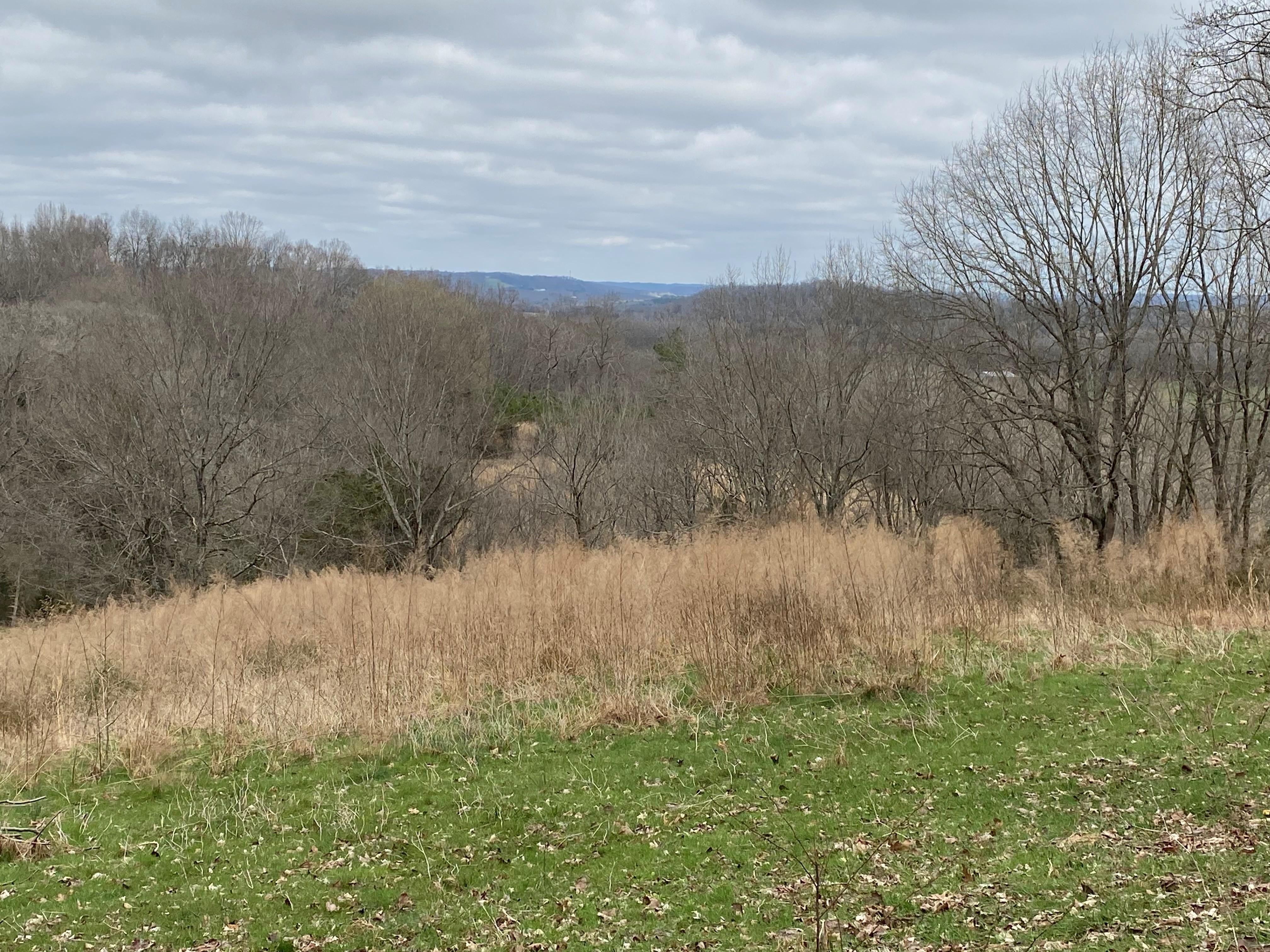 State Line Street, Elkmont, AL 35620 MLS 17802736 Land and Farm