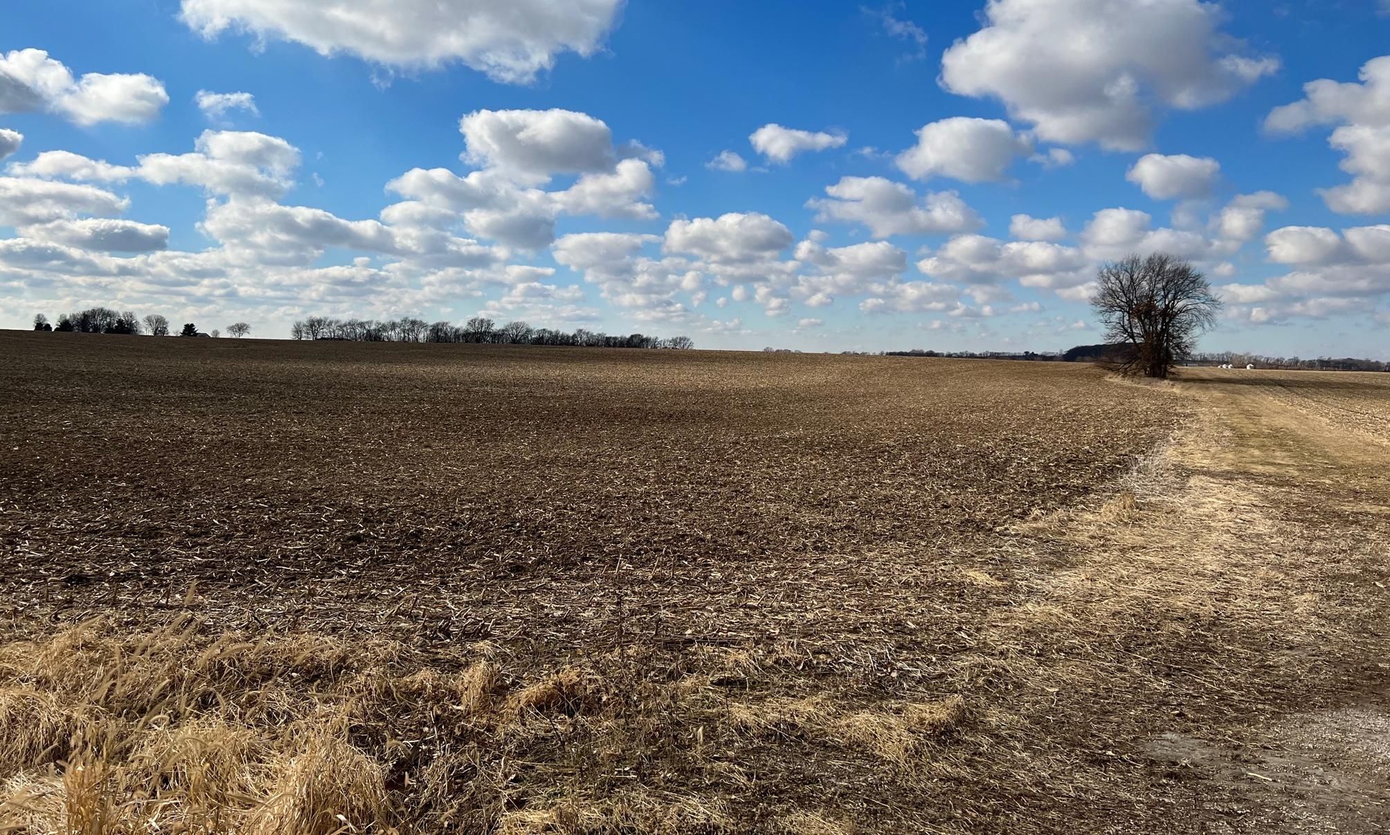 39 acres in Mount Pulaski, IL, 62548 Land and Farm