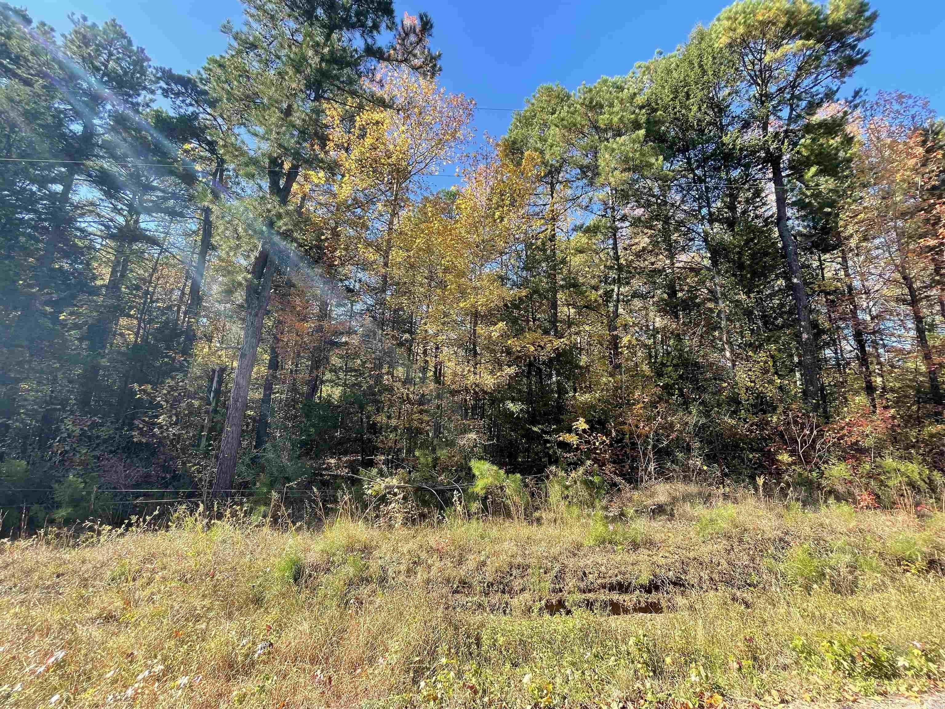 3 Acres, Tract 7 Wilderness Road, Greenbrier, AR 72058 Land and Farm