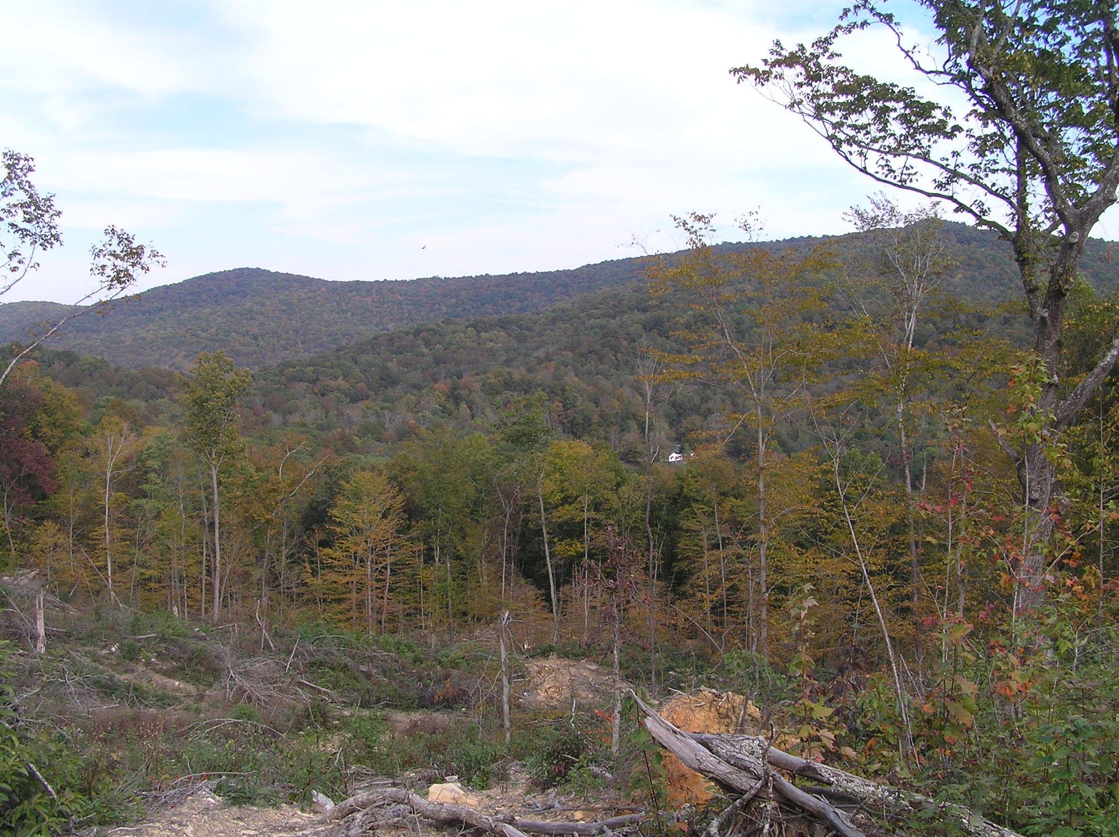 250 Acres, 255 Leonard Smart Rd, Beersheba Springs, TN 37305 Land and