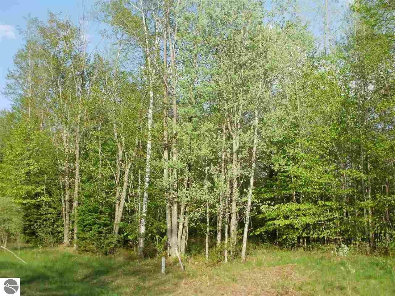 1.03 Acres, SWEETWATER DRIVE, Cadillac, MI 49601 Land and Farm