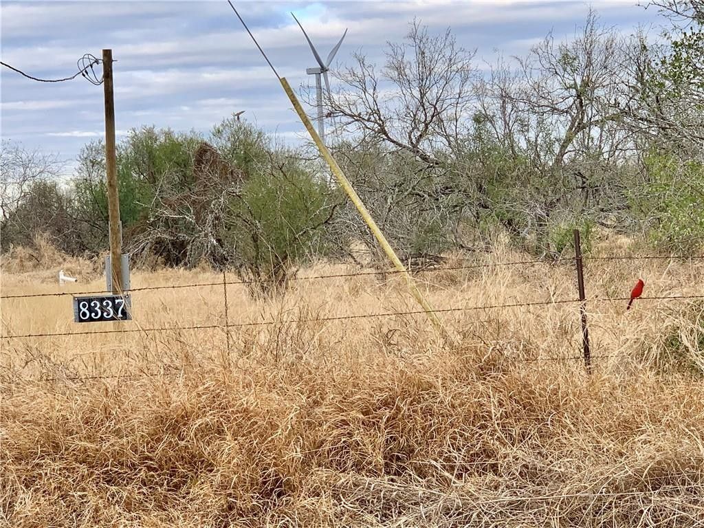 9.8 Acres, 8337 FM 796, Tynan, TX 78391 Land and Farm