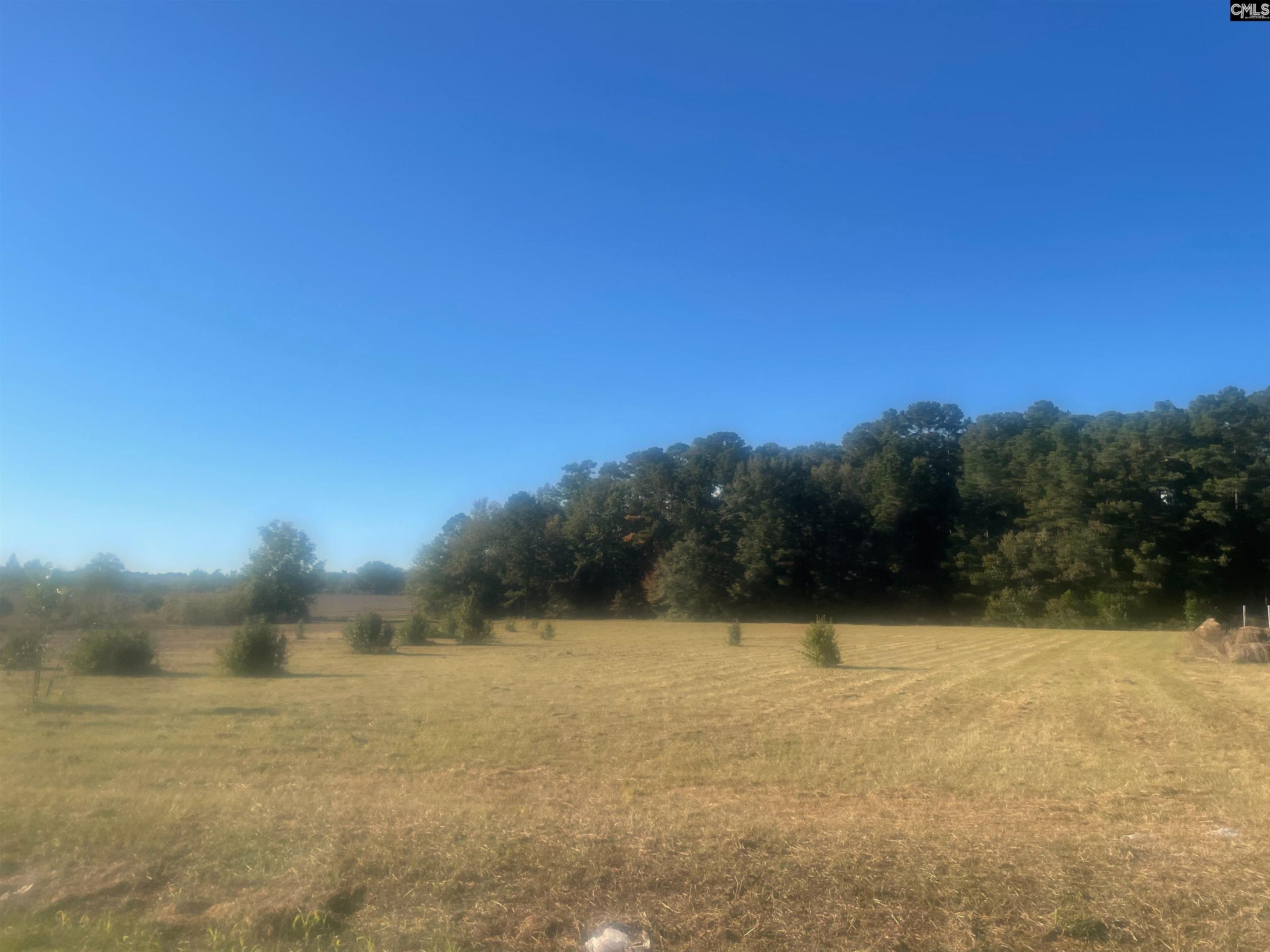 4 Acres, 0 Old Sandy Run Rd Road, Gaston, SC 29053 Land and Farm