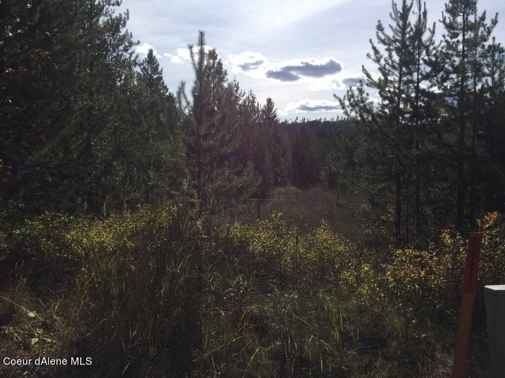 6 Acres, NKA Roberts Ln, Blanchard, ID 83804 Land and Farm