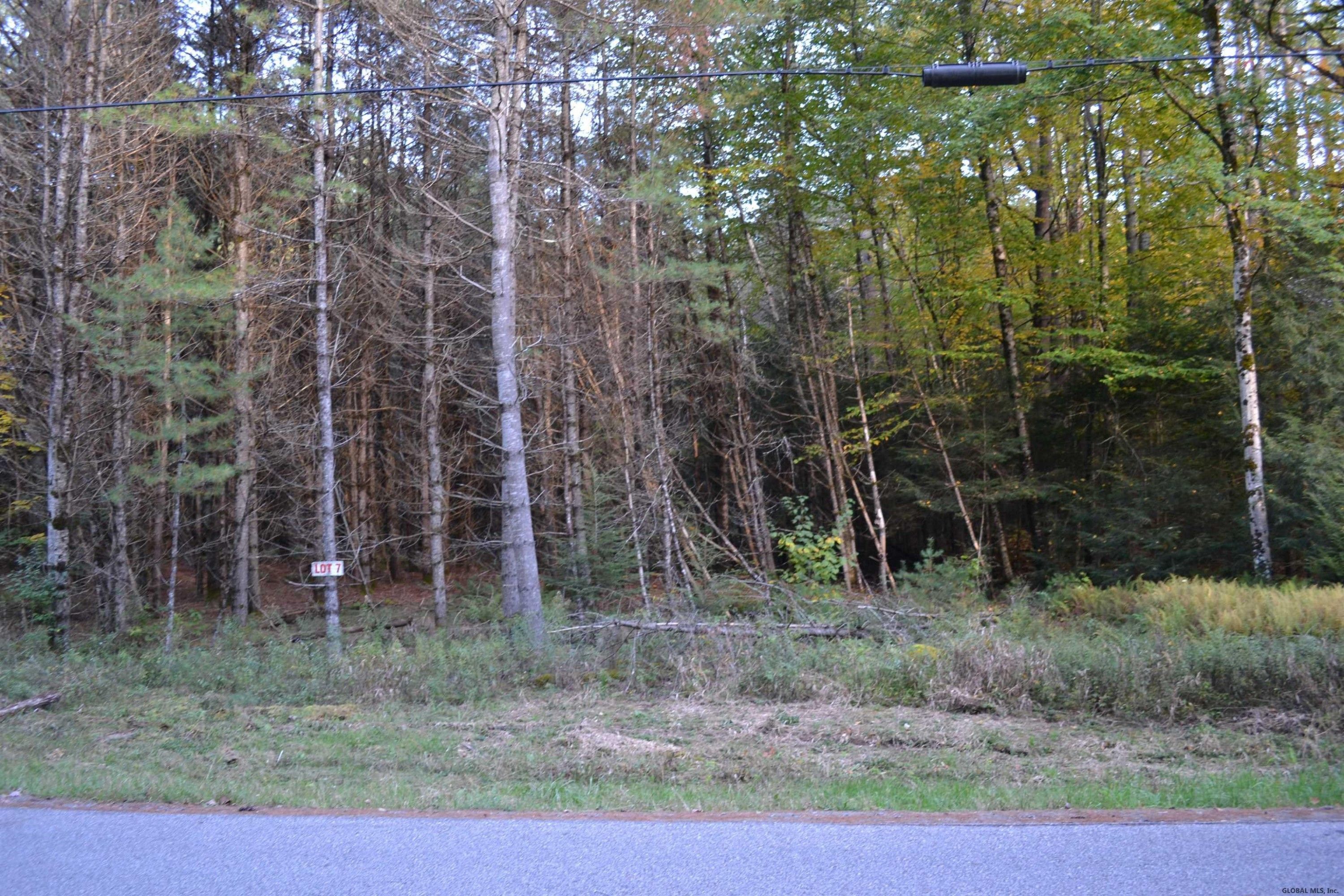 3 Acres, L827 HENDRICKS Road, Bolton, NY 12814 Land and Farm