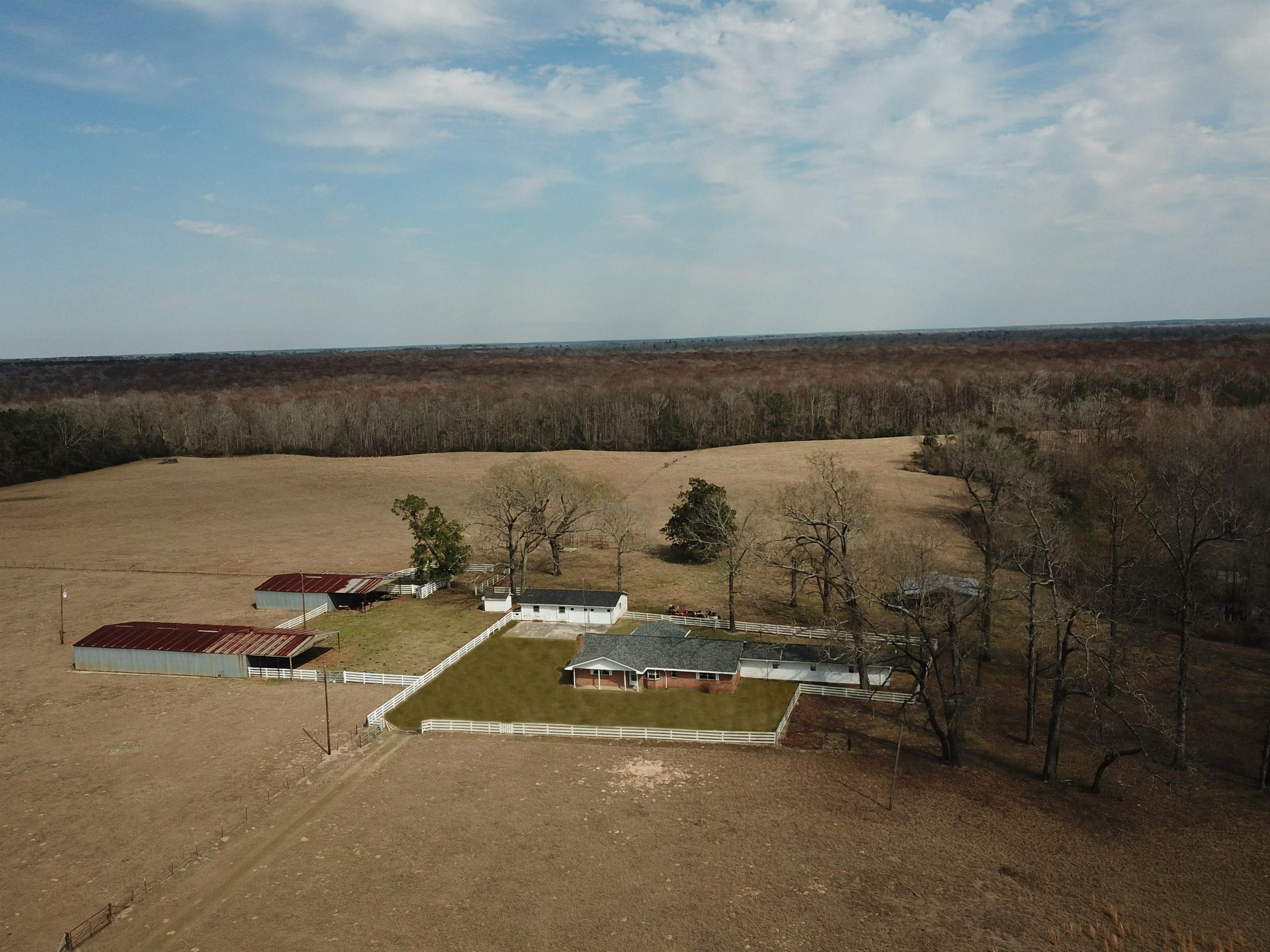 49.72 Acres, FM1416, Bon Wier, TX 75928 Land and Farm