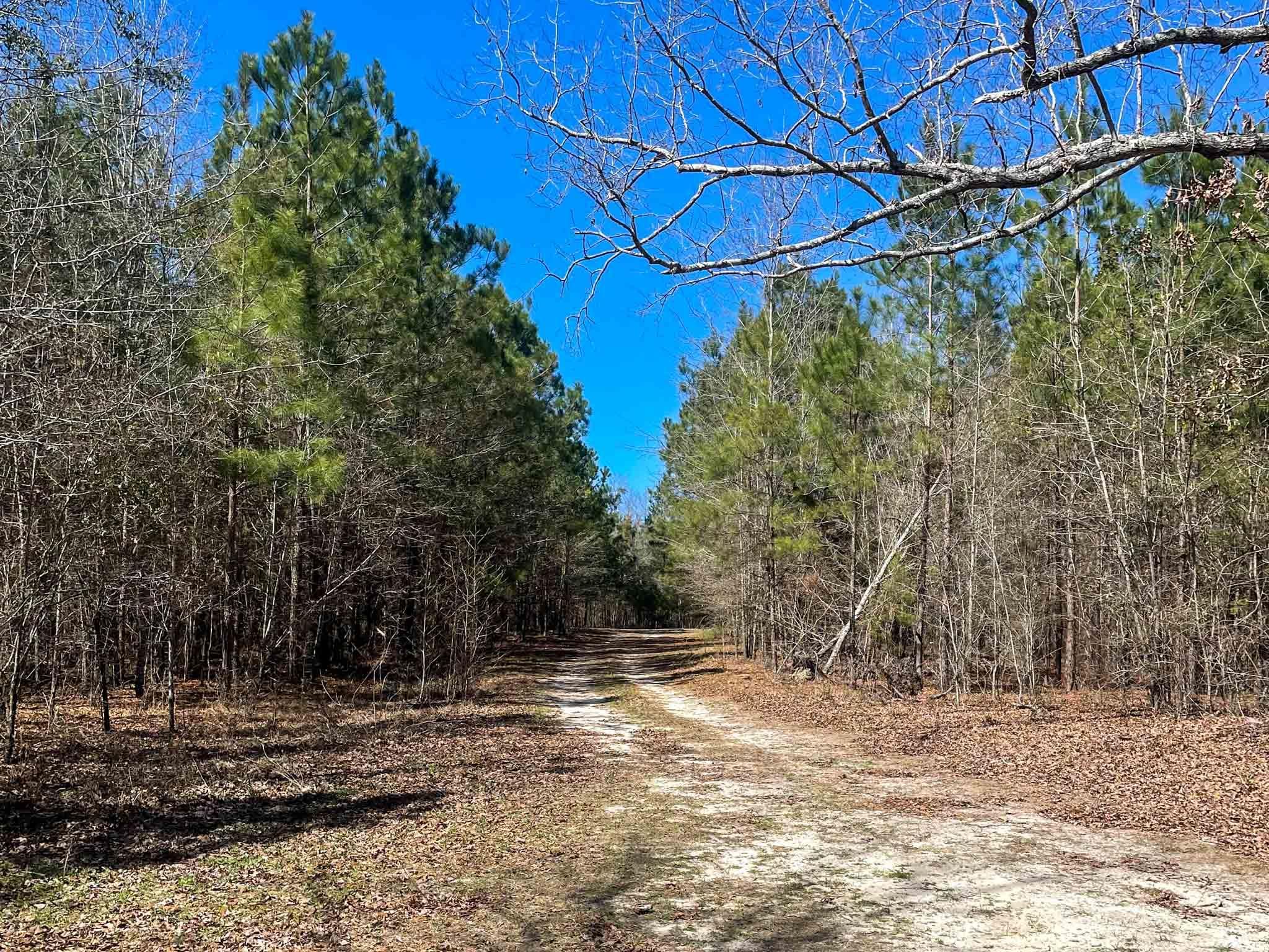 Ebenezer Road, Blackville, SC 29817 MLS 22006680 Land and Farm