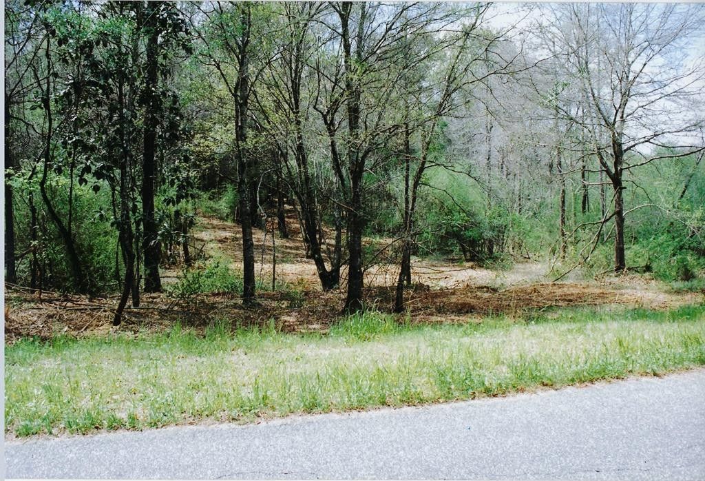 0 County Road 11 Lot 14, Headland, AL 36345 MLS 183582 Land and Farm