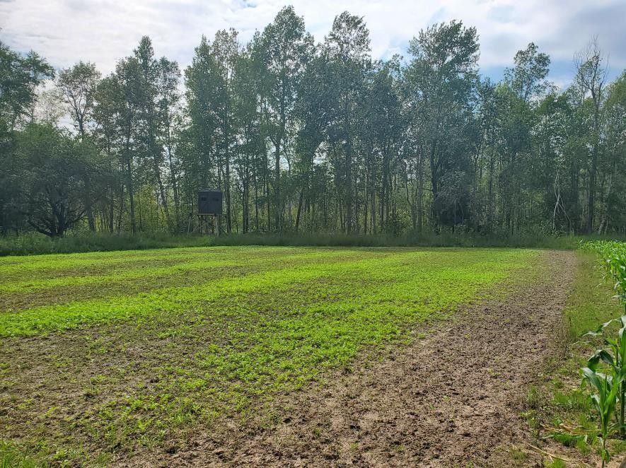 41 Acres, E Center Rd, Forestville, WI 54213 Land and Farm