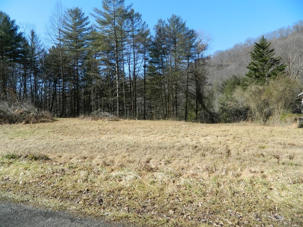 0.37 Acres, 509 Left Fork Upper Chloe Road, Pikeville, KY 41501 Land