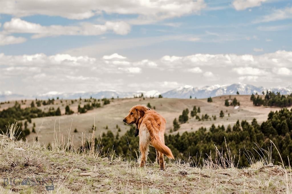 157 Acres, TBDLot 2 Willow Creek Road, Livingston, MT 59047 Land and
