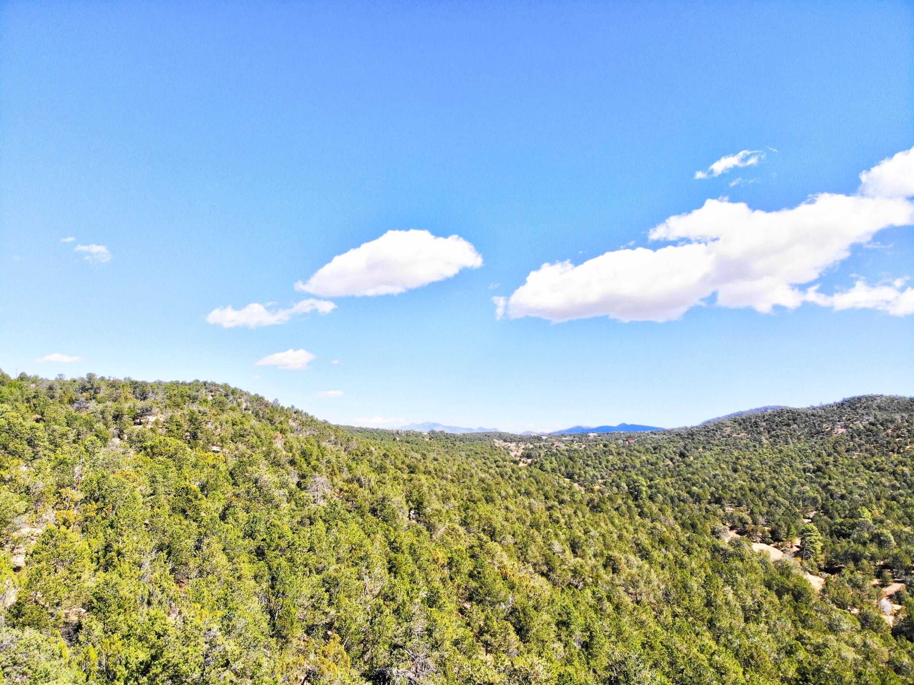 4 Acres, 31 and 37 BILOTTO Drive, Cedar Crest, NM 87008 Land and Farm