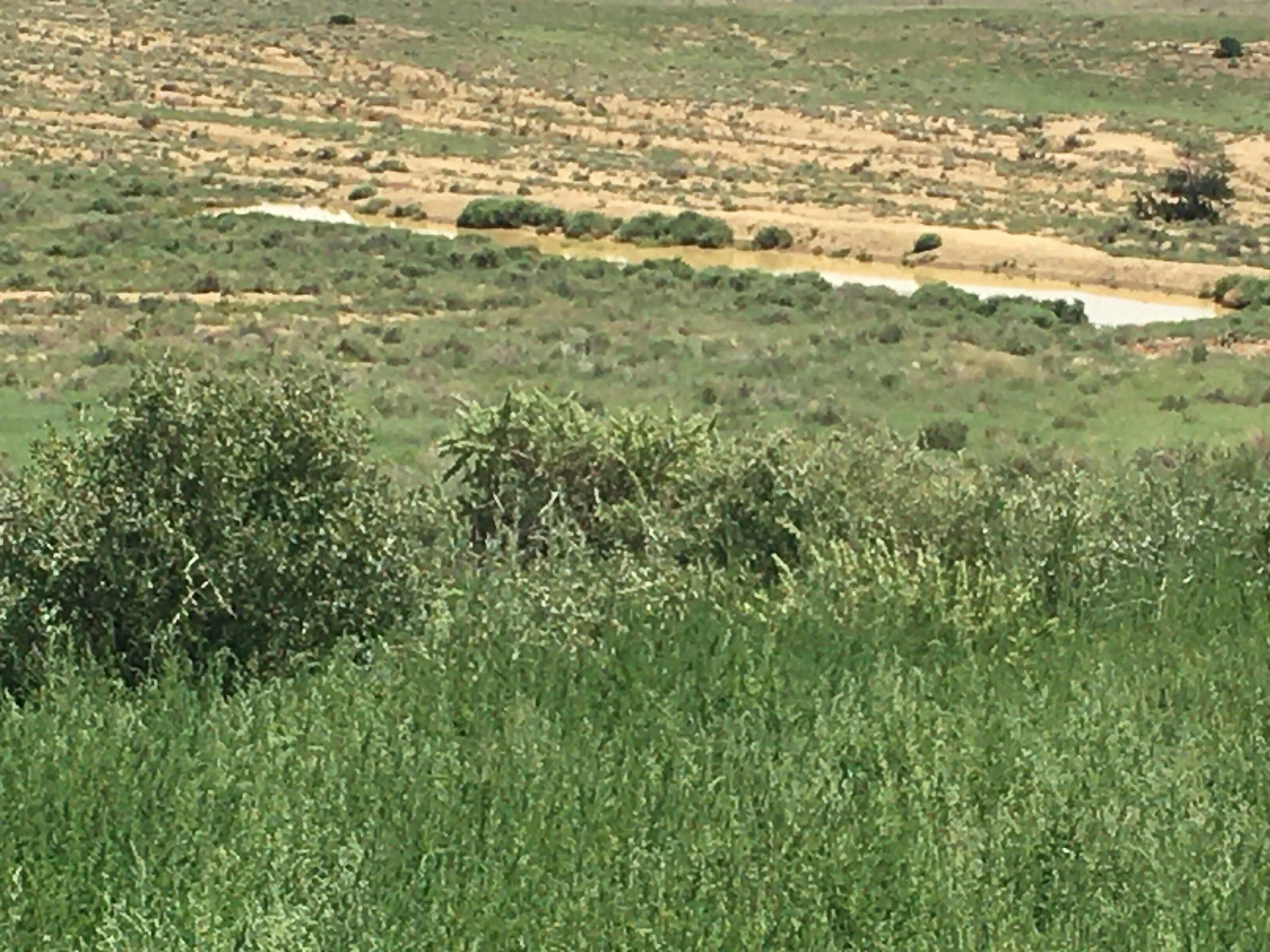 640 Acres, TBD, Prewitt, NM 87045 Land and Farm