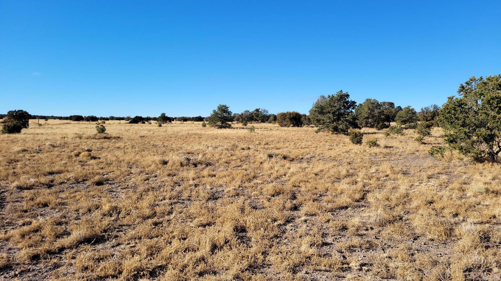 9.97 Acres, Bronco Lane, Quemado, NM 87829 Land and Farm