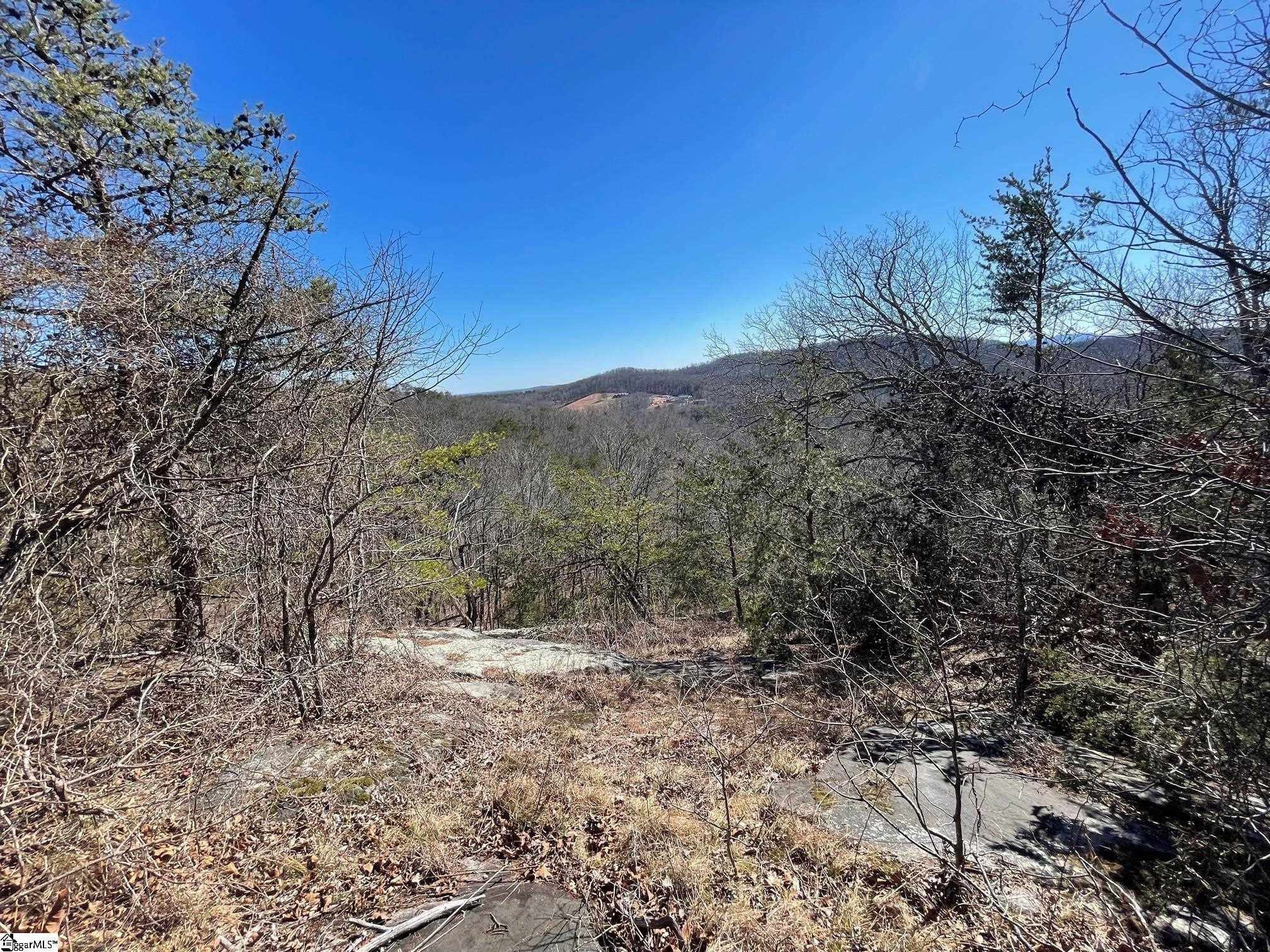 48 Acres, 00 Highway 11, Landrum, SC 29356 Land and Farm