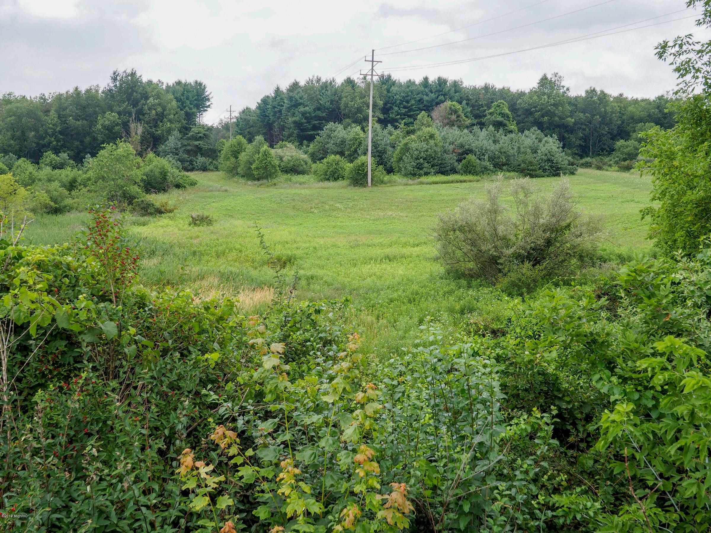 6.29 Acres, M89, Richland, MI 49083 Land and Farm