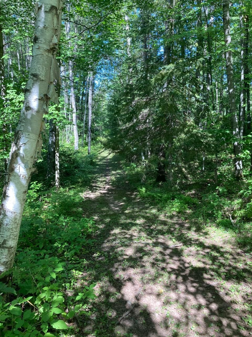 70 Acres, On ISON RD, Crandon, WI 54520 Land and Farm