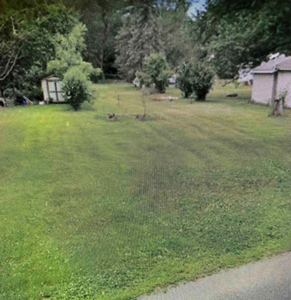 53743 County Road 5 Street, Elkhart, IN 46516 MLS 202115741 Land