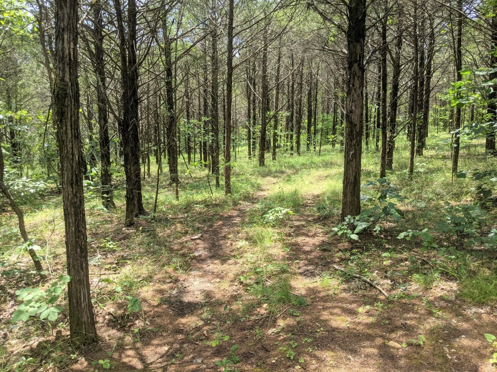 1 Acres, Lot 7a New Eagles Trail, Shell Knob, MO 65747 Land and Farm