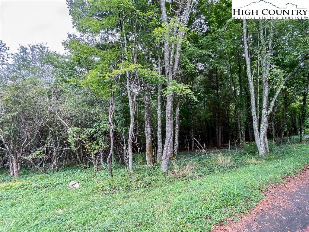 1.1 Acres, Tbd CRESTVIEW DRIVE WEST, Creston, NC 28615 Land and Farm