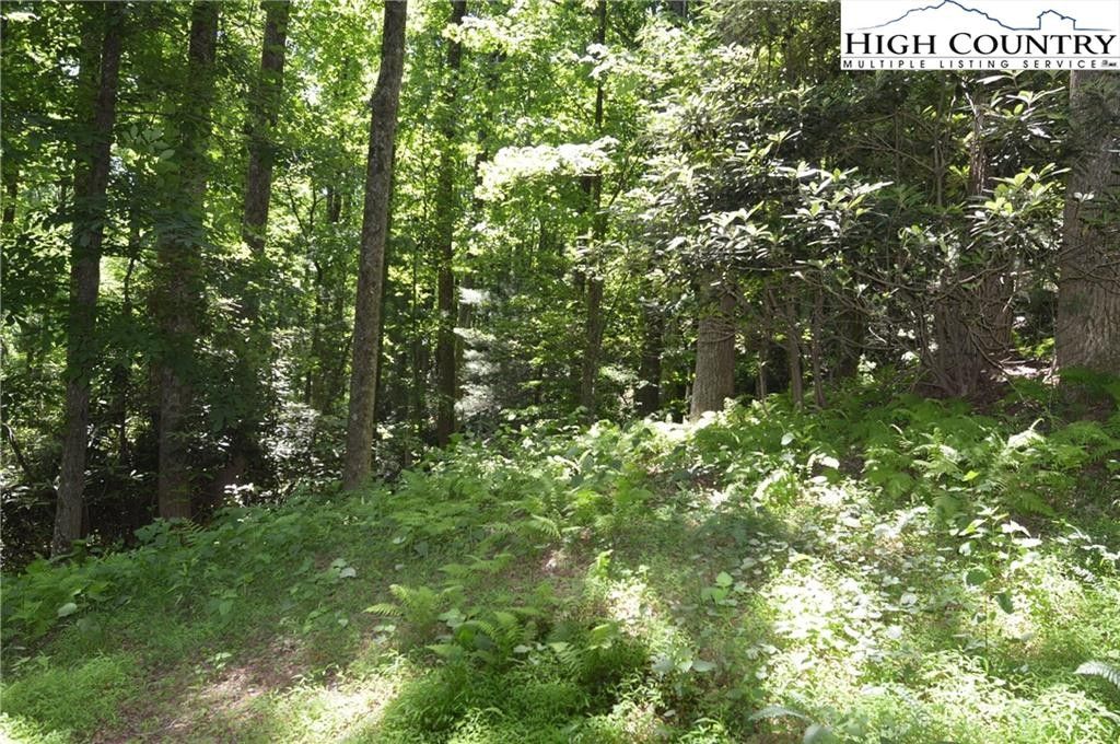 2.18 Acres, Lot 35 Green Mountain Road, Sparta, NC 28675 Land and Farm