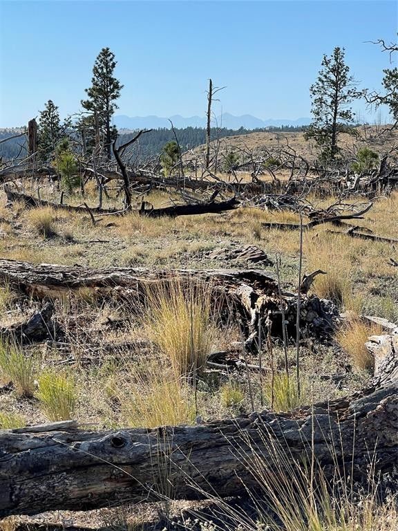 20 Acres, Tbd Skunkbelly Lane, Reed Point, MT 59069 Land and Farm