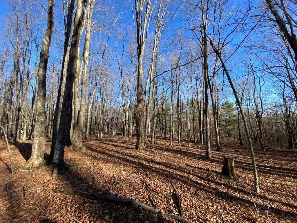 Blenheim Hill Road, Jefferson, NY 12093 Land and Farm