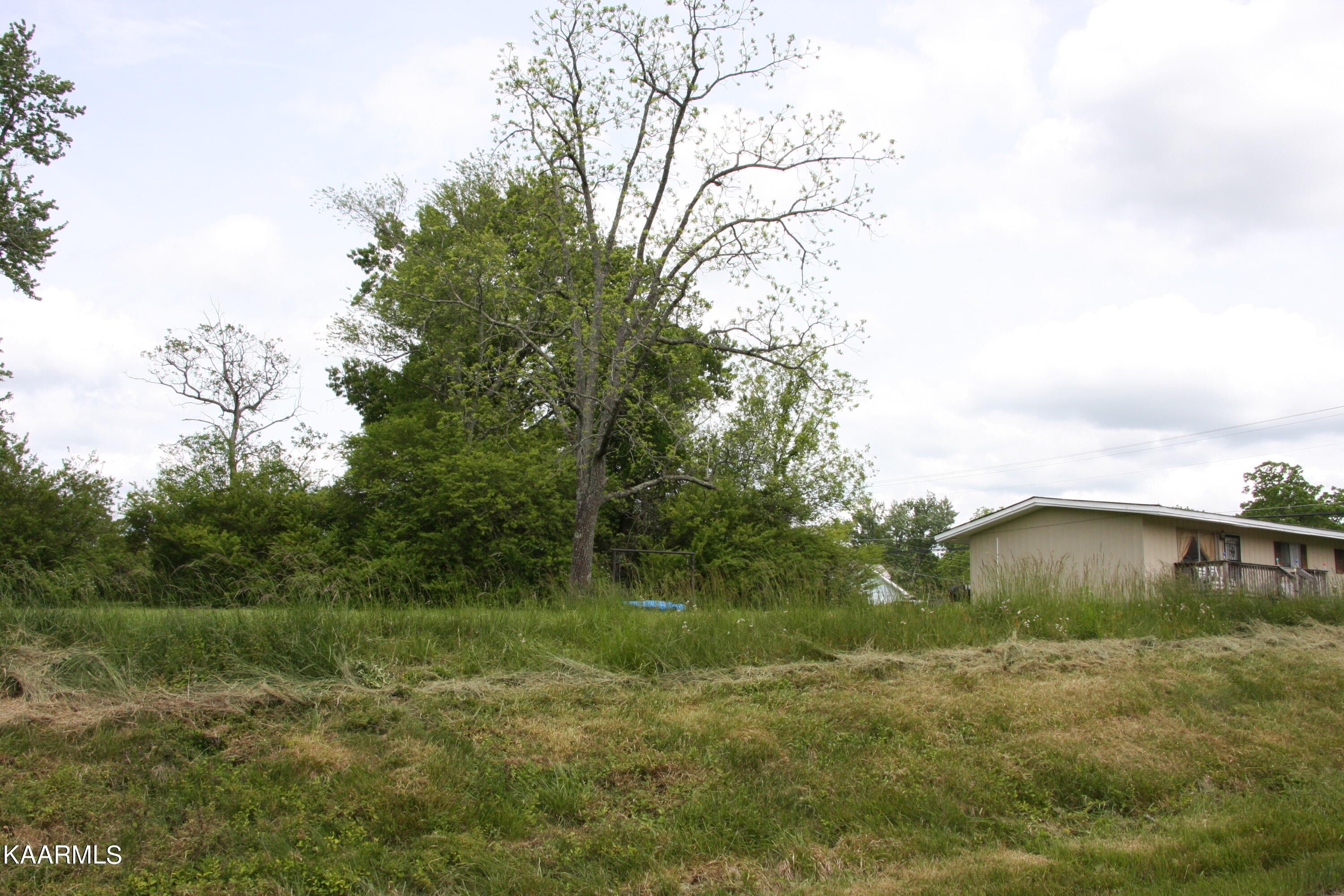 1.23 Acres, White Oak & Norris, Jamestown, TN 38556 Land and Farm