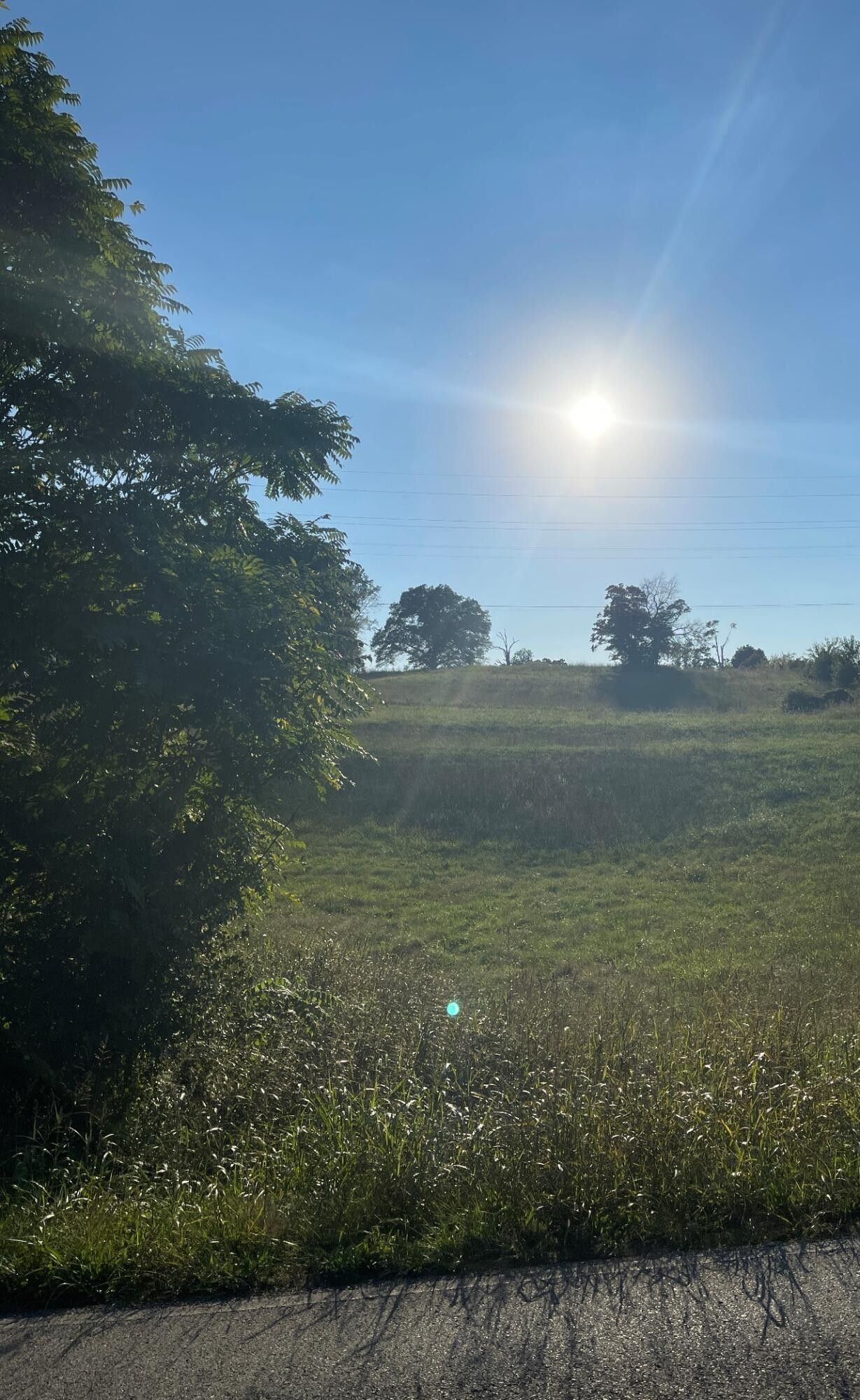 8.88 Acres, Lot 13 Fate Rankin Rd, Jefferson City, TN 37760 Land and Farm