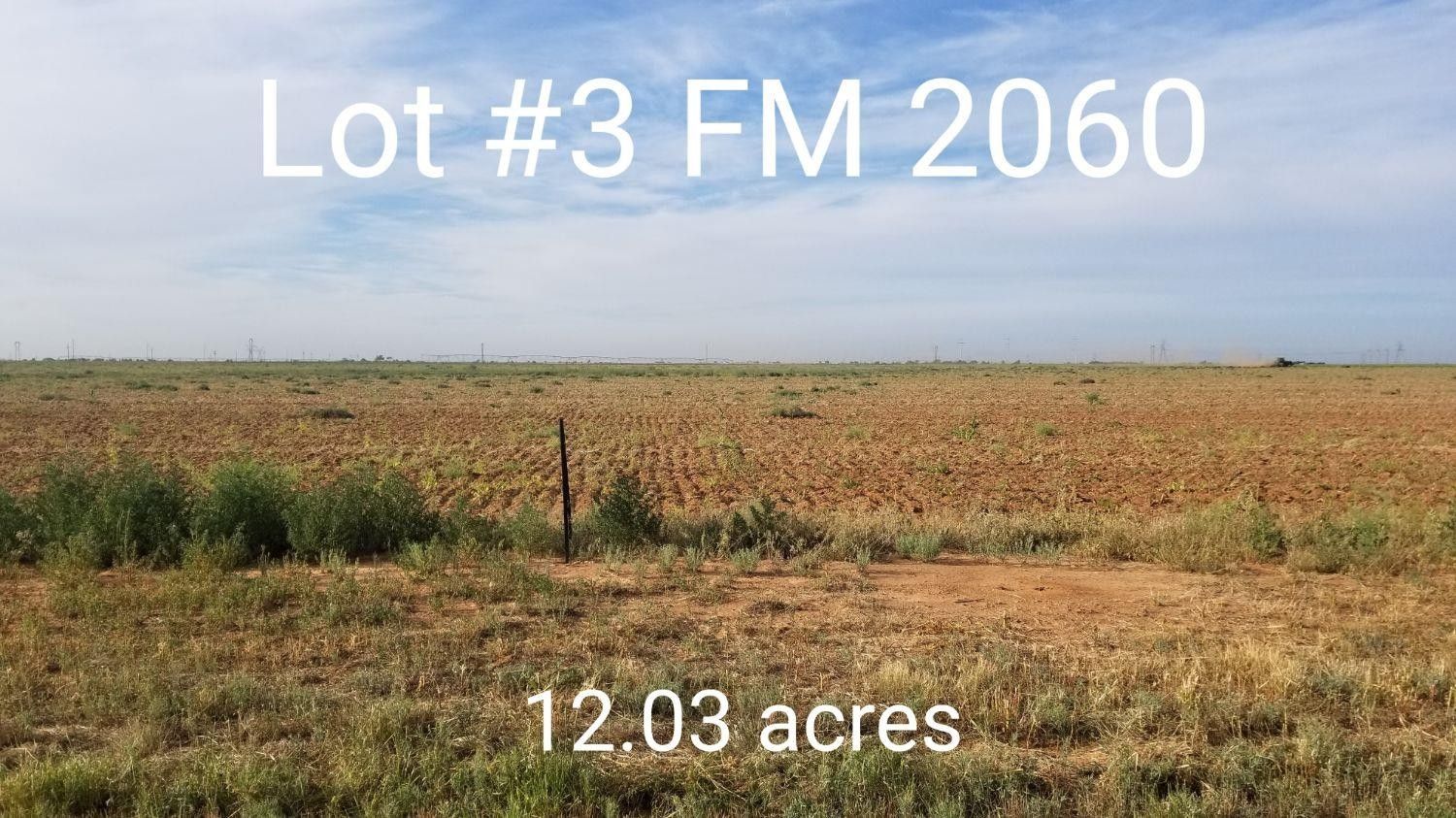 12.03 Acres, 0 FM 2060, Abernathy, TX 79311 Land and Farm