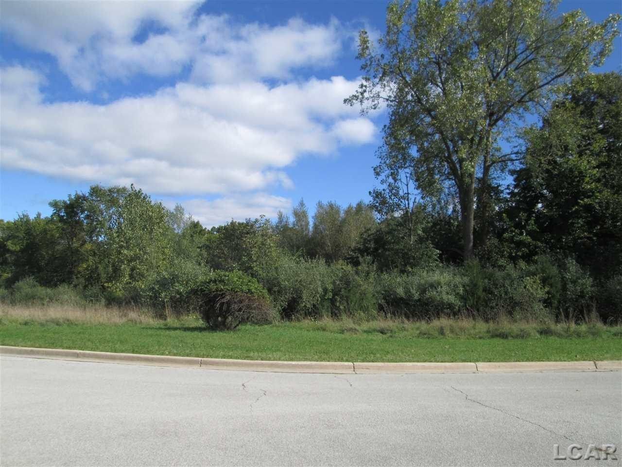 0.27 Acres, 1009 Saw Mill, Adrian, MI 49221 Land and Farm