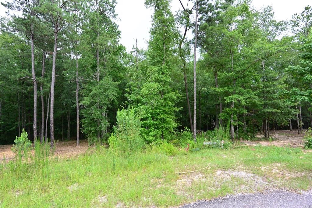 2.44 Acres, 298 River Stone Way, Eclectic, AL 36024 Land and Farm