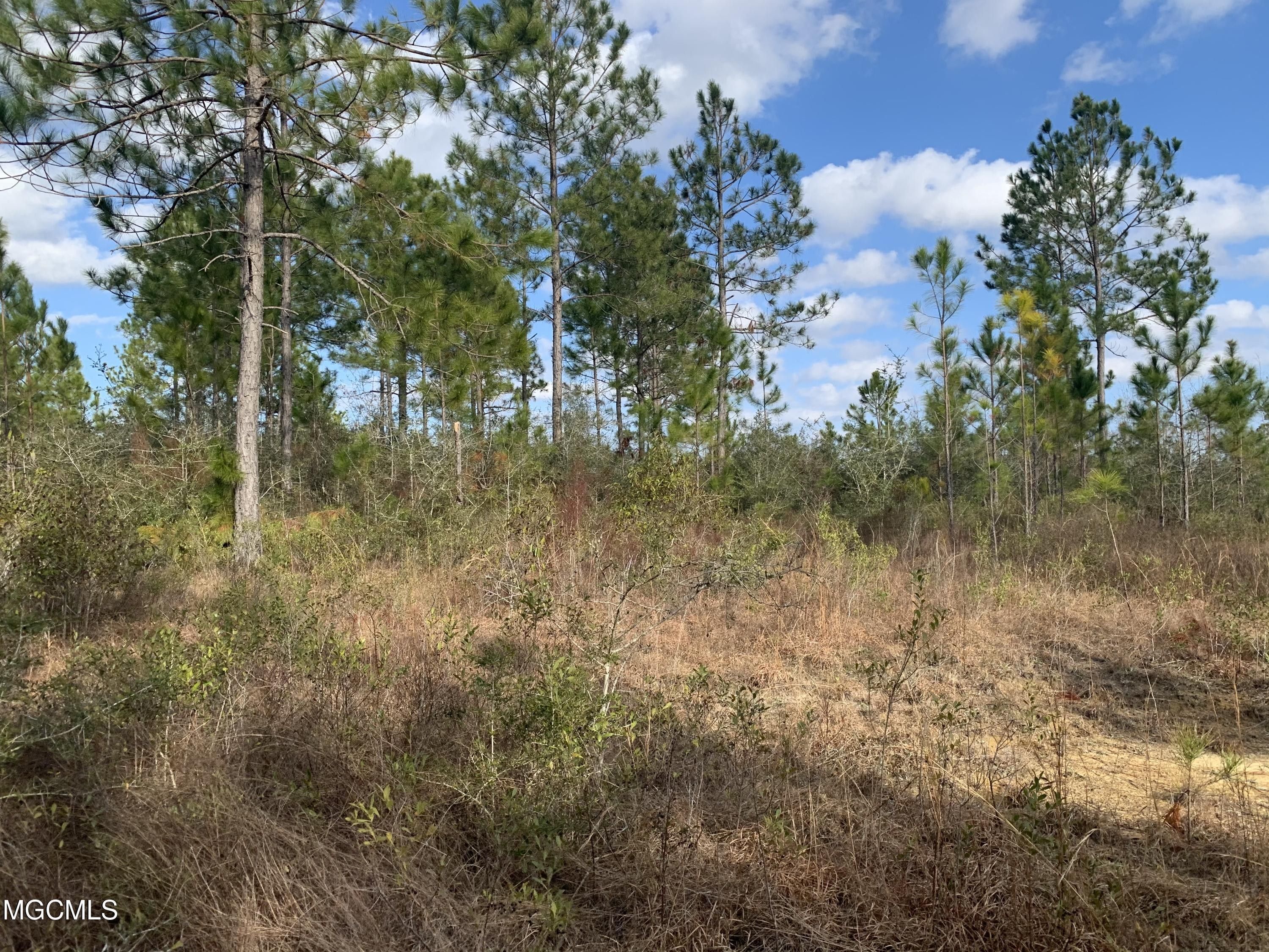 182 Acres, 0 Fenton Dedeaux Road, Kiln, MS 39556 Land and Farm